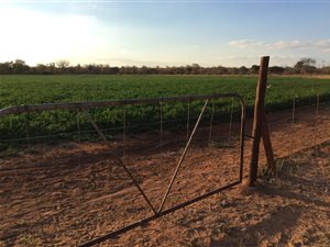1780 ha Farm in Musina