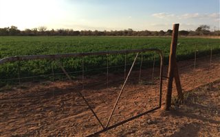 1780 ha Farm in Musina