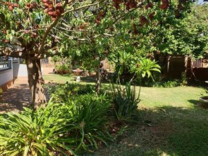 4 Bed House in Riviera
