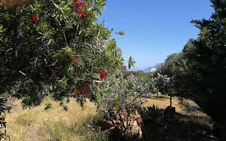 619 m² Land available in Capri