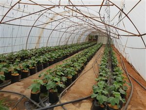 2.2 ha Farm in Strydfontein and surrounds
