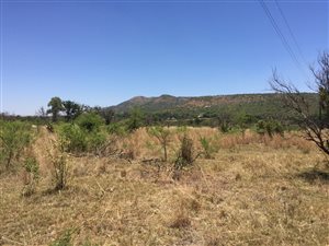 5.7 ha Farm in Buffelshoek AH