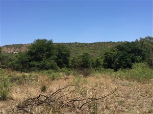 5.7 ha Farm in Buffelshoek AH