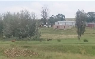 258 ha Farm in Lindley