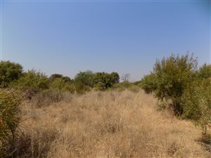 9.7 ha Land available in Groot Marico