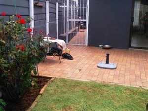 3 Bed House in Southfork