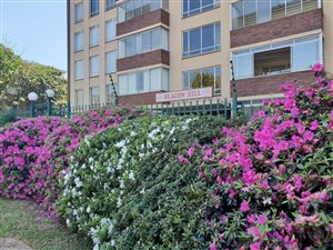 2 Bed Apartment in Clarendon