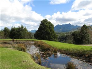 15.8 ha Farm in Wilderness Heights