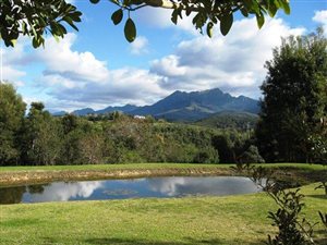 15.8 ha Farm in Wilderness Heights