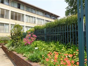 1 Bed Apartment in Bordeaux