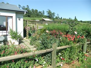 2 Bedroom House in Howick