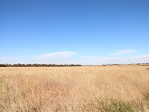 76.3 ha Farm in Ventersdorp