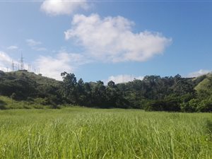60.2 ha Farm in Hibberdene