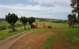 143 ha Farm in Ashburton