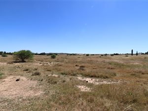 1 ha Land available in Martindale