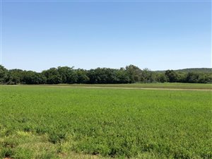 483 ha Farm in Koster