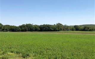 483 ha Farm in Koster