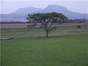 3.8 ha Land available in Glencoe