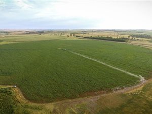 120.8 ha Farm in Ventersdorp