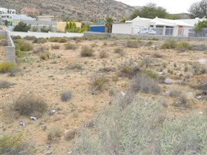 1000 m² Land available in Springbok