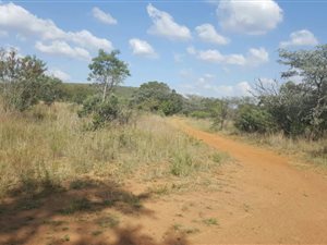 21.4 ha Farm in Boekenhoutskloof and surrounds