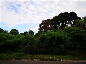 1145 m² Land available in Westville