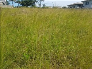 381 m² Land available in Stanger Central
