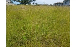 381 m² Land available in Stanger Central