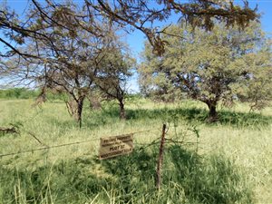 23 ha Land available in Rayton