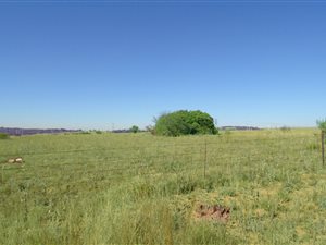 23 ha Land available in Rayton