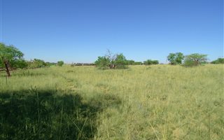 23 ha Land available in Rayton