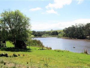 56 ha Farm in George Central