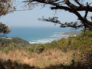 1298 m² Land available in Cintsa
