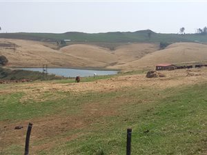 156 ha Farm in Lions River