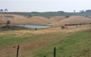 156 ha Farm in Lions River