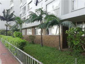 Bachelor apartment in Durban CBD