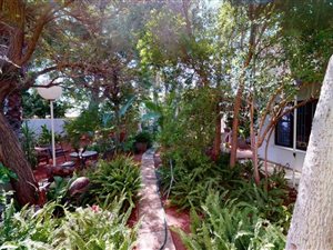 4 Bed House in Oosterville