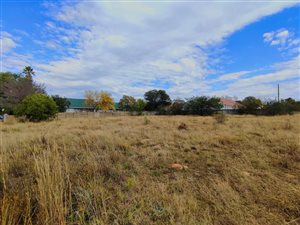 1344 m² Land available in Vredefort