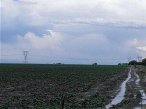 995 ha Farm in Mookgophong (Naboomspruit)