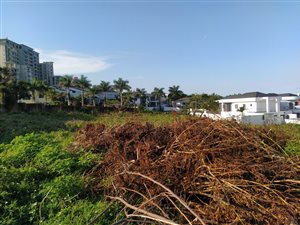 1300 m² Land available in Umhlanga Ridge