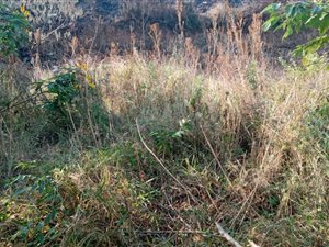 770 m² Land available in Umlazi