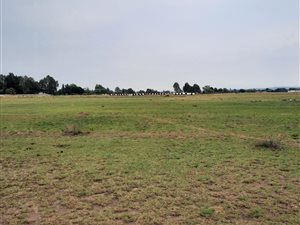 2.1 ha Farm in Buyscelia