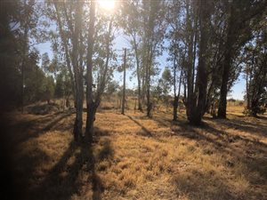 162 ha Land available in Klerksdorp