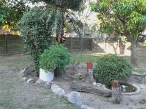 3 Bed House in Arboretum