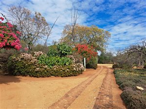 2 ha Farm in Dalmada AH