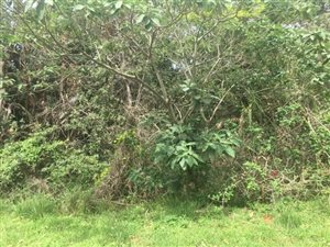 2750 m² Land available in St Michaels on Sea