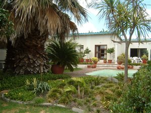 2.5 ha Farm in Albertinia
