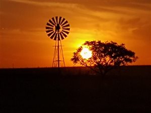 Game Farm in Middelburg