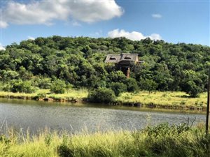 Game Farm in Middelburg