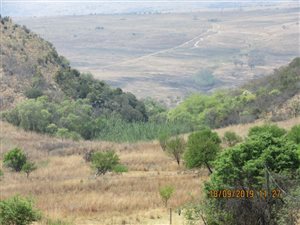 Game Farm in Middelburg